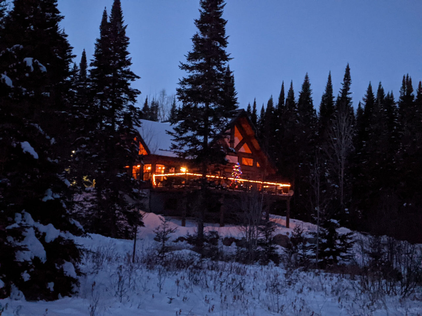 Log Cabin and Chalet Kits